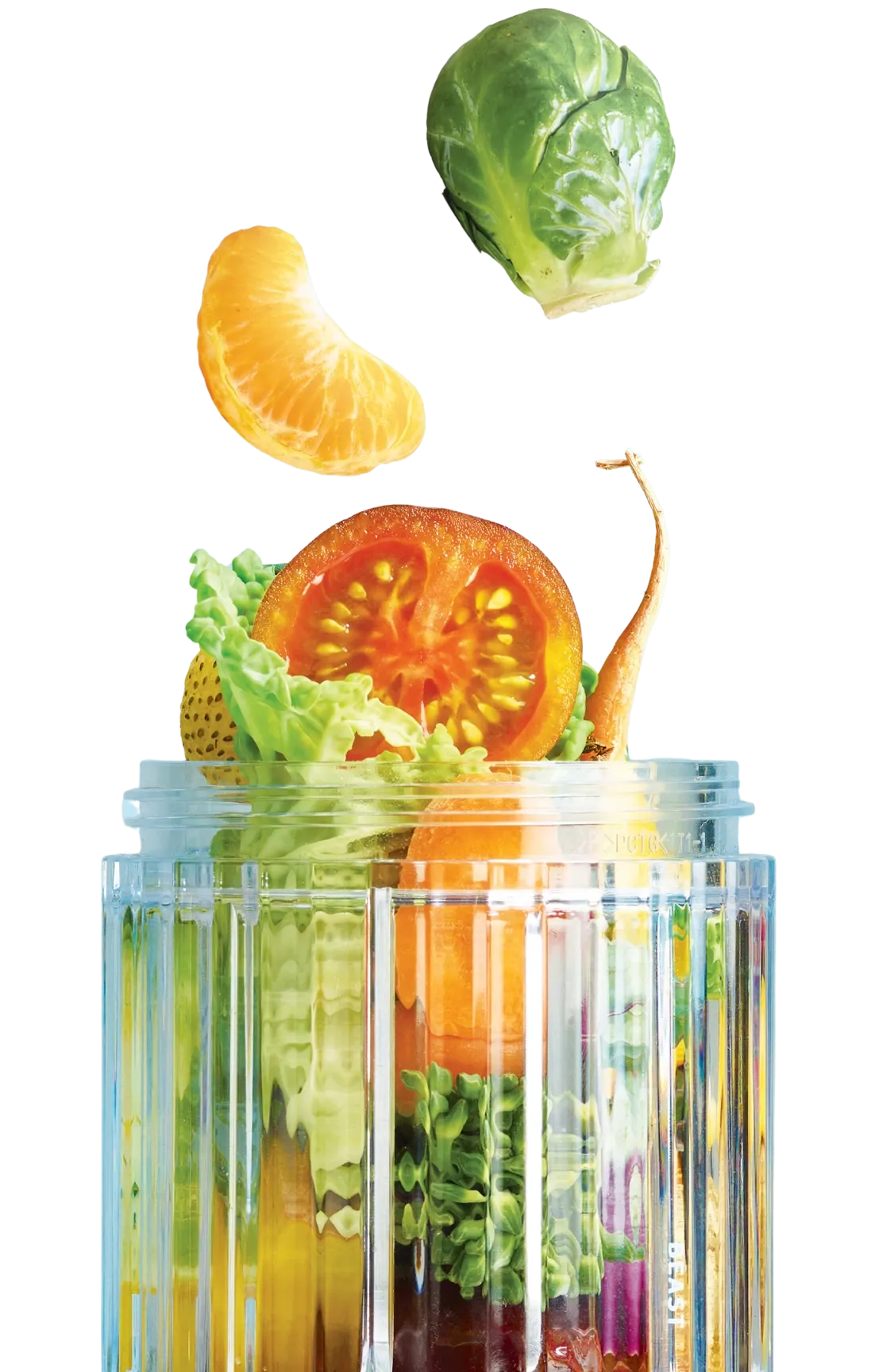 Beast Blender Zutaten