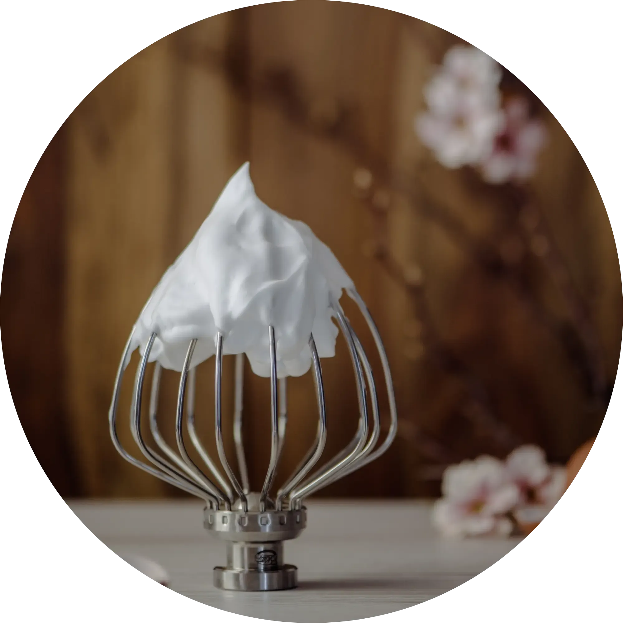 Profi-Schneebesen "Schaumschläger"