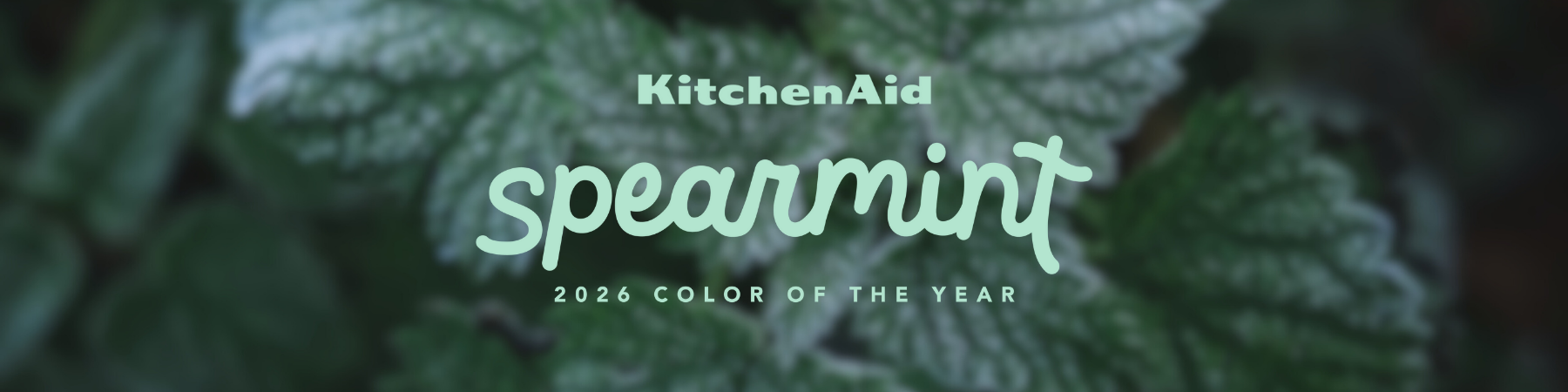 KitchenAid Color Of The Year 2026 "Spearmint"
