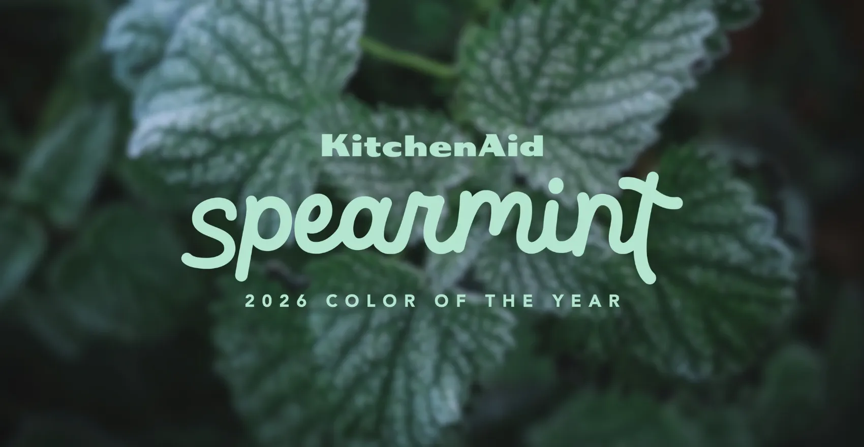 Spearmint Banner