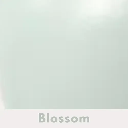 Blossom