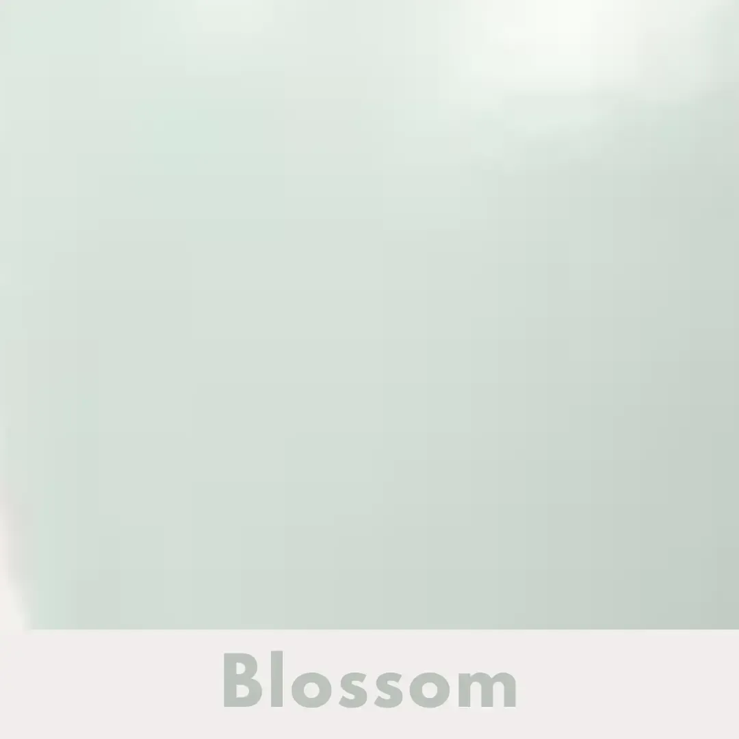Blossom