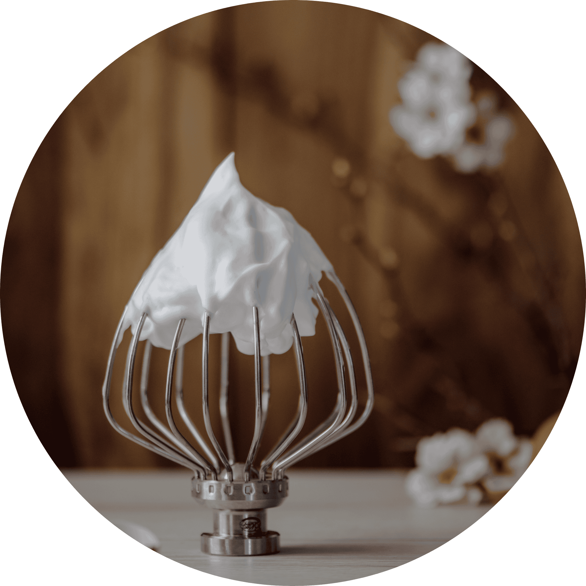 Profi-Schneebesen "Schaumschläger"