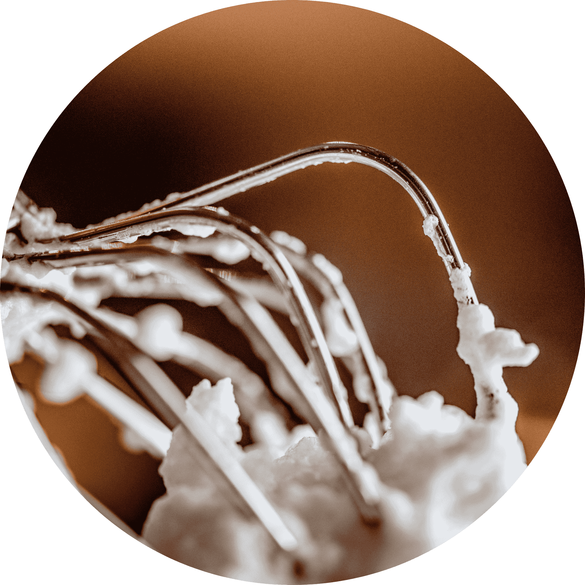 Profi-Schneebesen "Schaumschläger"