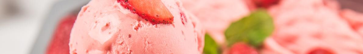 Begleiter für den Sommer 