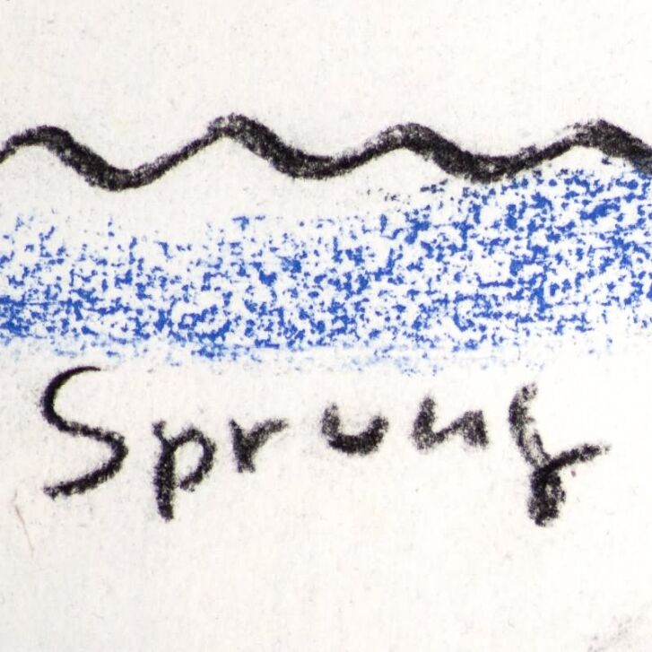 Helge Schneider - Original Kohlezeichnung "Sprung ins Wasser (nackend)" 30 x 41 cm, Unikat, handsigniert