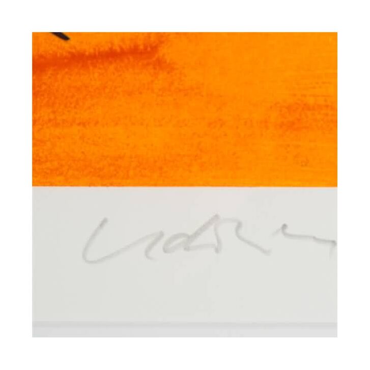 Udo Lindenberg Original Farblithografie "Panic Porsche Power" - handsigniert und limitiert - ca. 42 x 56 cm